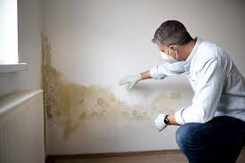 Best Water Damage & Mold Remediation  in North Valley Stream, NY